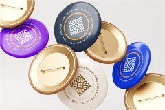 PINS